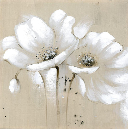 Image Only