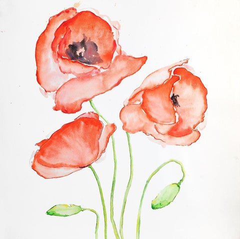 WATERCOLOR POPPIES White Modern Wood Framed Art Print with Double Matting by Atelier B Art Studio