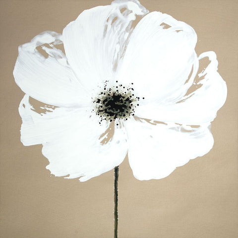 ABSTRACT COLOR SPLASH FLOWER White Modern Wood Framed Art Print by Atelier B Art Studio