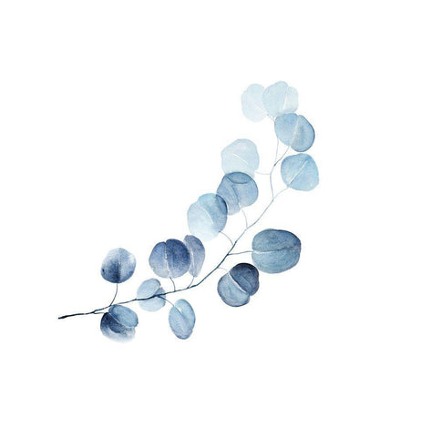 A BRANCH OF EUCALYPTUS White Modern Wood Framed Art Print with Double Matting by Atelier B Art Studio