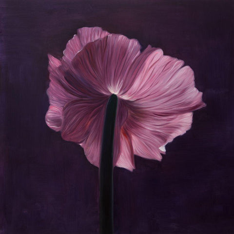 PURPLE FLOWER ON A DARK BACKGROUND Gold Ornate Wood Framed Art Print with Double Matting by Atelier B Art Studio