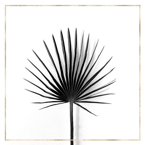 CABBAGE PALM LEAF WITH GOLD LINES Black Ornate Wood Framed Art Print with Double Matting by Atelier B Art Studio