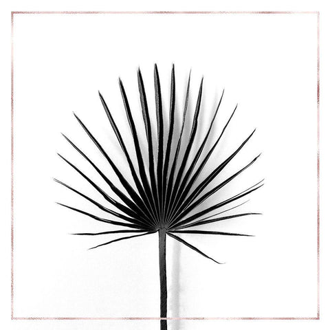 CABBAGE PALM LEAF WITH ROSE LINES Black Ornate Wood Framed Art Print with Double Matting by Atelier B Art Studio