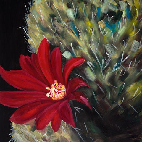 ECHINOPSIS RED CACTUS FLOWER Black Modern Wood Framed Art Print by Atelier B Art Studio