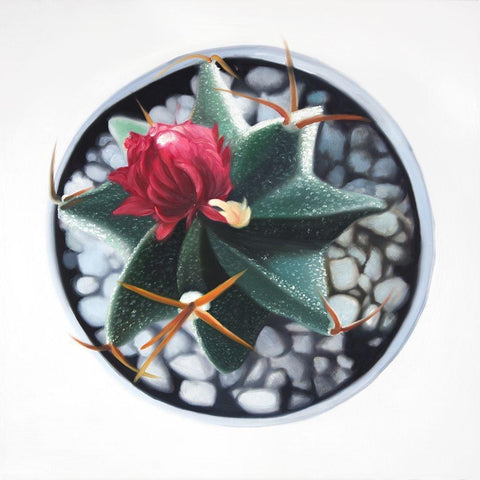 CACTUS IN POT White Modern Wood Framed Art Print with Double Matting by Atelier B Art Studio