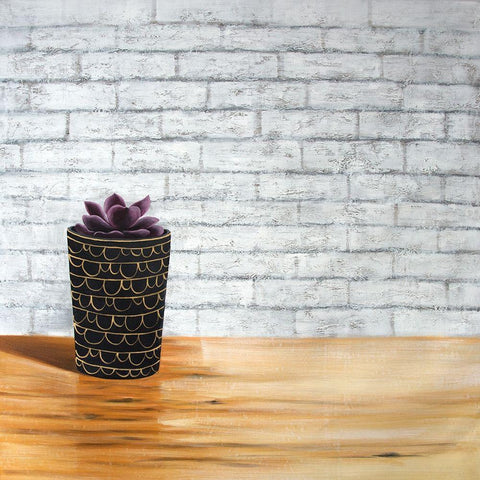 SUCCULENT IN A POT Black Ornate Wood Framed Art Print with Double Matting by Atelier B Art Studio