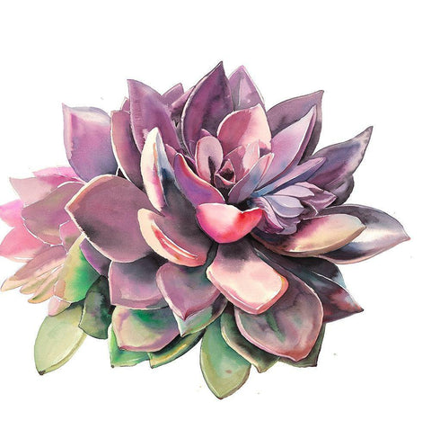 SUCCULENT White Modern Wood Framed Art Print with Double Matting by Atelier B Art Studio