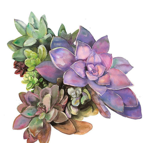 SUCCULENT PLANT Black Modern Wood Framed Art Print with Double Matting by Atelier B Art Studio