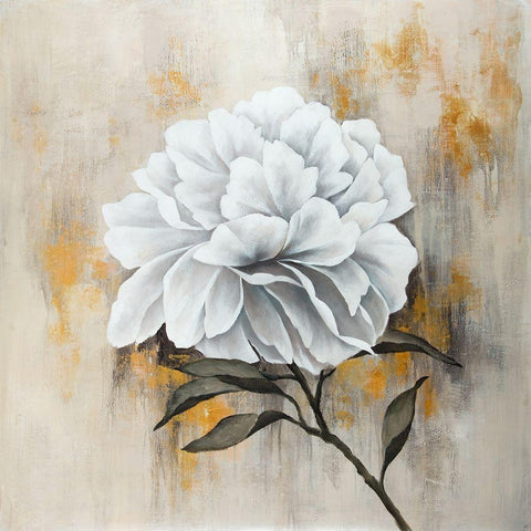 WHITE PEONY White Modern Wood Framed Art Print with Double Matting by Atelier B Art Studio