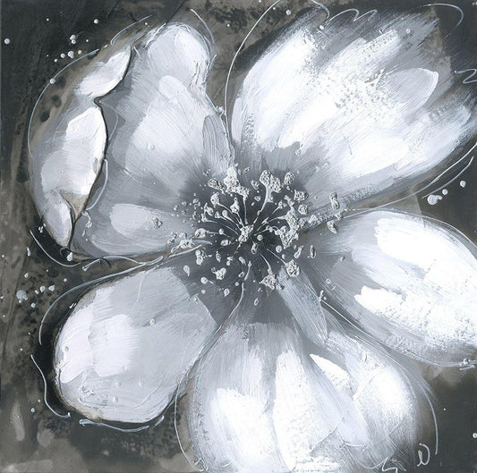 Image Only