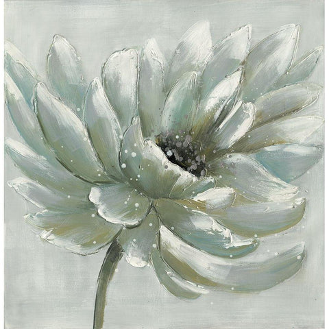 White chrysanthemum Black Modern Wood Framed Art Print with Double Matting by Atelier B Art Studio