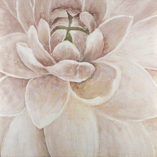 Image Only