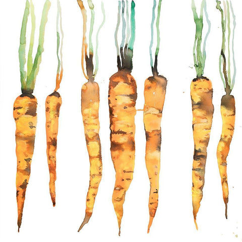 FRESHLY PICKED CARROTS White Modern Wood Framed Art Print with Double Matting by Atelier B Art Studio