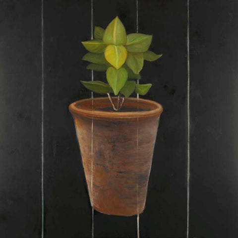 Plant of Bay Leaves Black Modern Wood Framed Art Print with Double Matting by Atelier B Art Studio