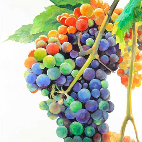 Colorful Bunch of Grapes Black Modern Wood Framed Art Print with Double Matting by Atelier B Art Studio