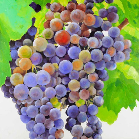 Bunch of Grapes White Modern Wood Framed Art Print by Atelier B Art Studio