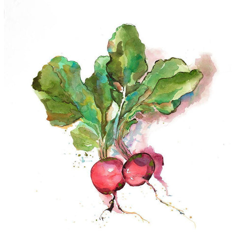 Watercolor Radish White Modern Wood Framed Art Print by Atelier B Art Studio