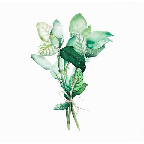 TIED UP BASIL LEAVES BUNDLE Black Modern Wood Framed Art Print by Atelier B Art Studio