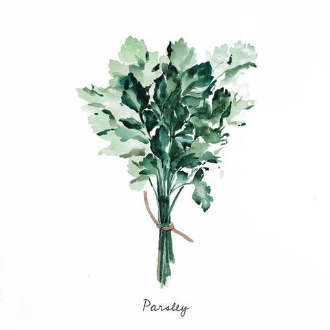 TIED UP PERSIL BUNDLE - EN White Modern Wood Framed Art Print with Double Matting by Atelier B Art Studio