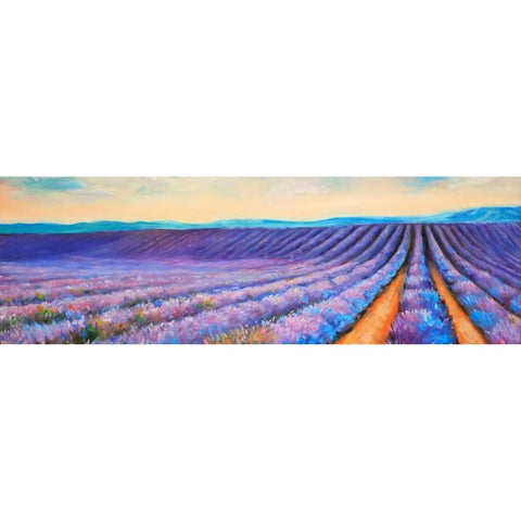 Lavender Fields Black Modern Wood Framed Art Print with Double Matting by Atelier B Art Studio