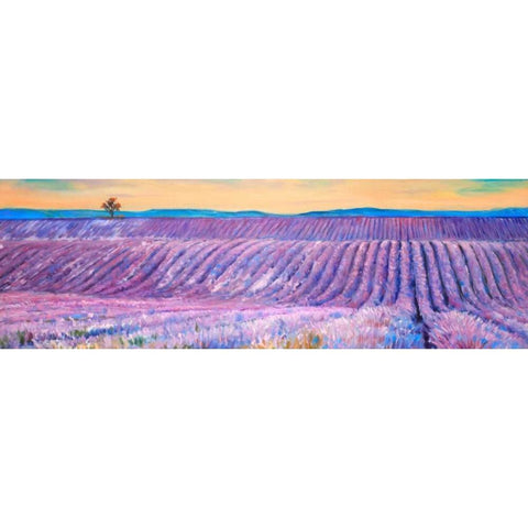 Landscape of a Field of Lavender White Modern Wood Framed Art Print by Atelier B Art Studio