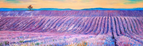 Landscape of a Field of Lavender White Modern Wood Framed Art Print with Double Matting by Atelier B Art Studio