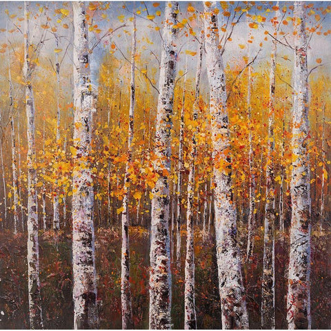 BIRCHES BY SUNNY DAY Black Modern Wood Framed Art Print with Double Matting by Atelier B Art Studio