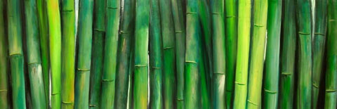 Green Bamboo White Modern Wood Framed Art Print with Double Matting by Atelier B Art Studio