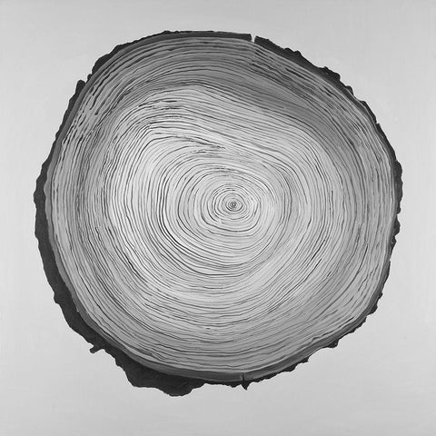 Grayscale Round Shaped Tree Slab White Modern Wood Framed Art Print with Double Matting by Atelier B Art Studio