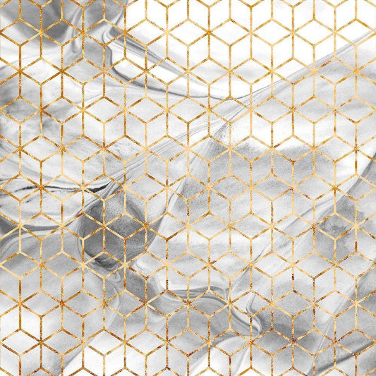 Image Only