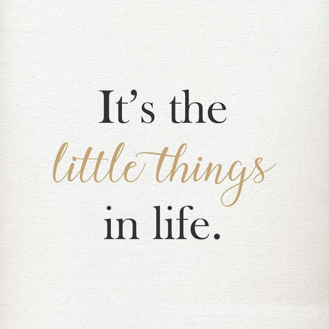 ITS THE LITTLE THINGS IN LIFE White Modern Wood Framed Art Print with Double Matting by Atelier B Art Studio