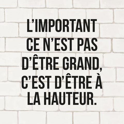 LIMPORTANT CE NEST PAS DÃªTRE GRAND... White Modern Wood Framed Art Print with Double Matting by Atelier B Art Studio