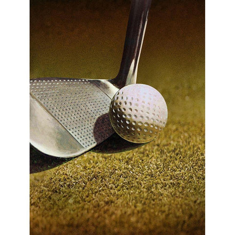 GOLF CLOSEUP Black Modern Wood Framed Art Print with Double Matting by Atelier B Art Studio