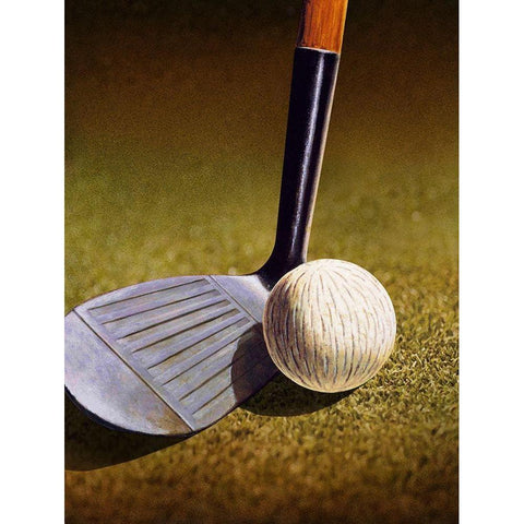 CLOSEUP OF A GOLF CLUB White Modern Wood Framed Art Print by Atelier B Art Studio