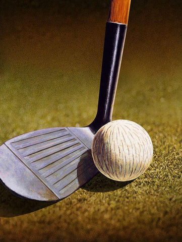 CLOSEUP OF A GOLF CLUB White Modern Wood Framed Art Print with Double Matting by Atelier B Art Studio