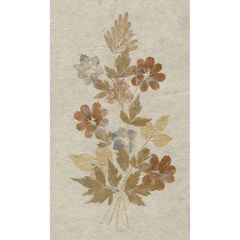 Delicate Dried Flowers arrangement on rice paper  Black Modern Wood Framed Art Print with Double Matting by anonymous