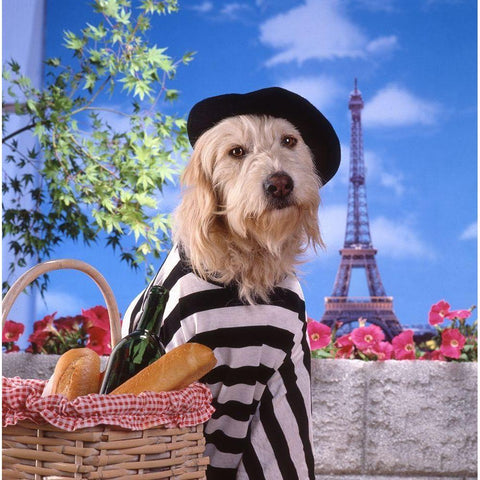 Visit to Paris Gold Ornate Wood Framed Art Print with Double Matting by Hoenderkamp, Patrick