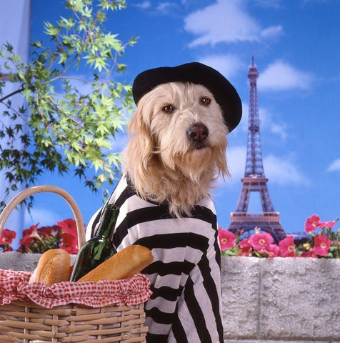 Visit to Paris Black Ornate Wood Framed Art Print with Double Matting by Hoenderkamp, Patrick