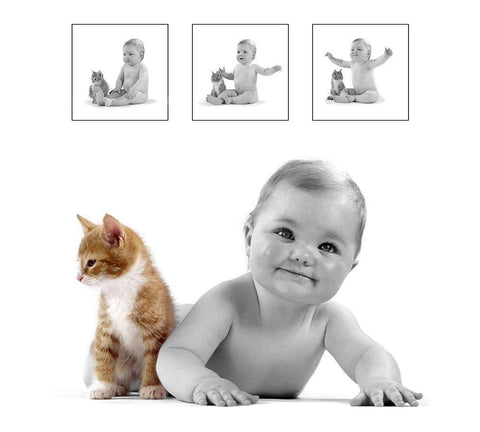 baby and kitten White Modern Wood Framed Art Print with Double Matting by Hoenderkamp, Patrick