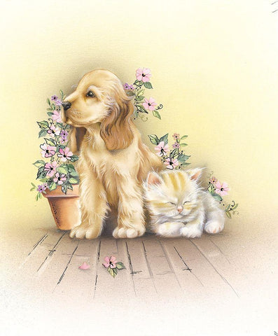 Cat and Dog White Modern Wood Framed Art Print with Double Matting by Hoenderkamp, Patrick