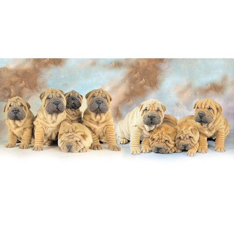 Puppies White Modern Wood Framed Art Print by Hoenderkamp, Patrick