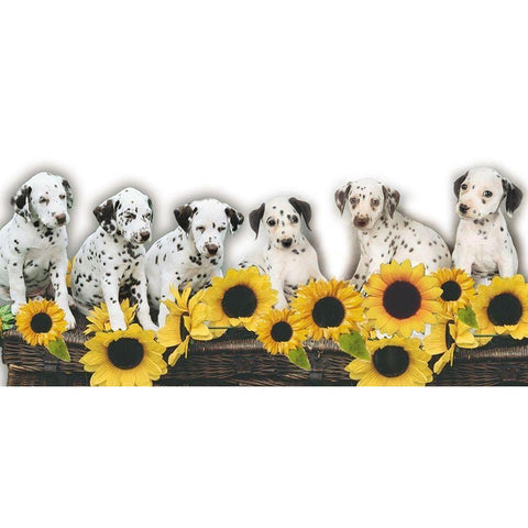 Puppies and Sunflowers Gold Ornate Wood Framed Art Print with Double Matting by Hoenderkamp, Patrick