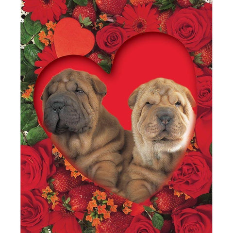 Puppies In Heart Black Modern Wood Framed Art Print with Double Matting by Hoenderkamp, Patrick