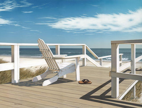 Sun Deck Black Ornate Wood Framed Art Print with Double Matting by Pollera, Daniel