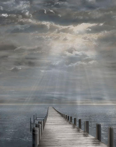 Storm Clearing,  Color Black Ornate Wood Framed Art Print with Double Matting by Fisch, Ellen