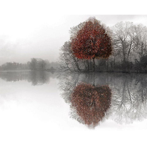 Mirror Lake Gold Ornate Wood Framed Art Print with Double Matting by Fisch, Ellen