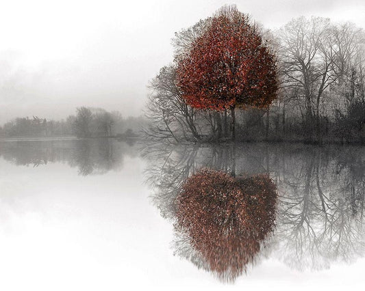 Image Only