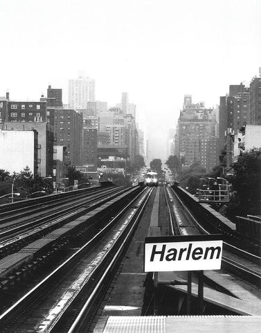 Next Stop Harlem Black Ornate Wood Framed Art Print with Double Matting by Fisch, Ellen