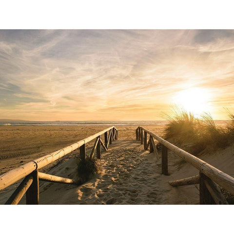 Beach Path to the Golden Sun Gold Ornate Wood Framed Art Print with Double Matting by Schaldach