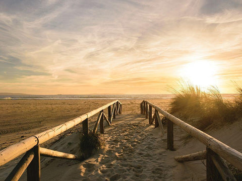 Beach Path to the Golden Sun White Modern Wood Framed Art Print with Double Matting by Schaldach